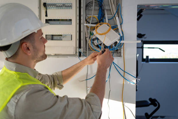 Best Ceiling Fan Installation Electrician  in Lester Prairie, MN